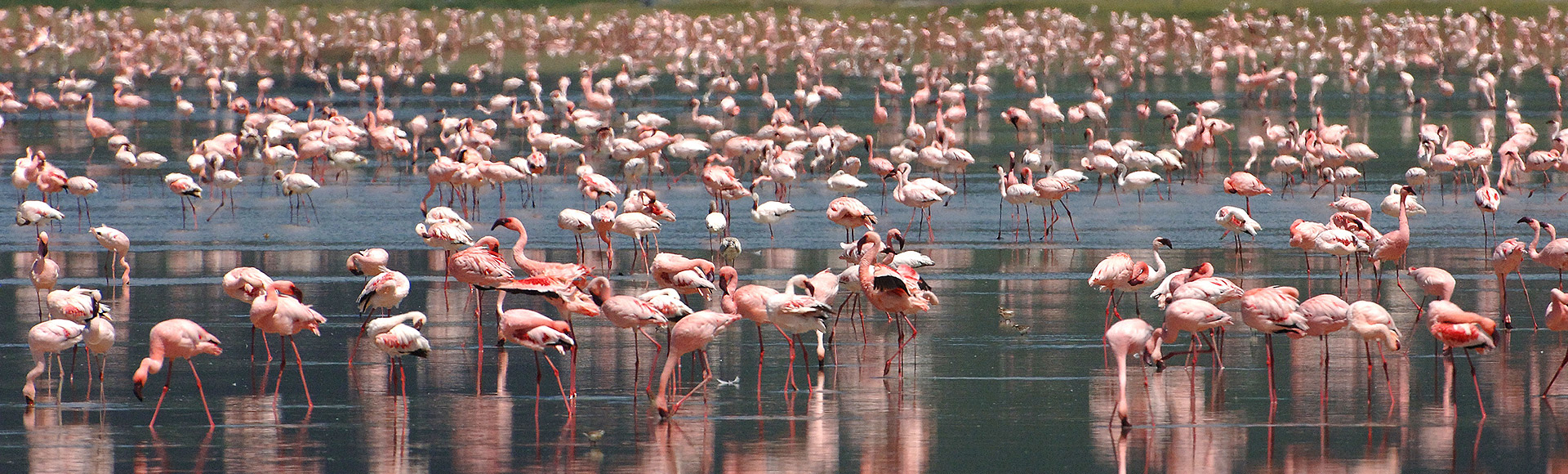 3 Day Hike Grewal and Mtae Explore Nature and Wildlife