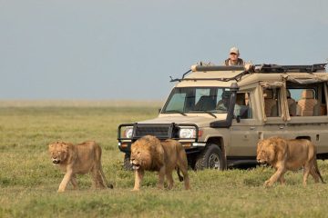 5-Day-Safari-Tanzania Five-Days Lodge Tanzania Safari Tanzania Hiking