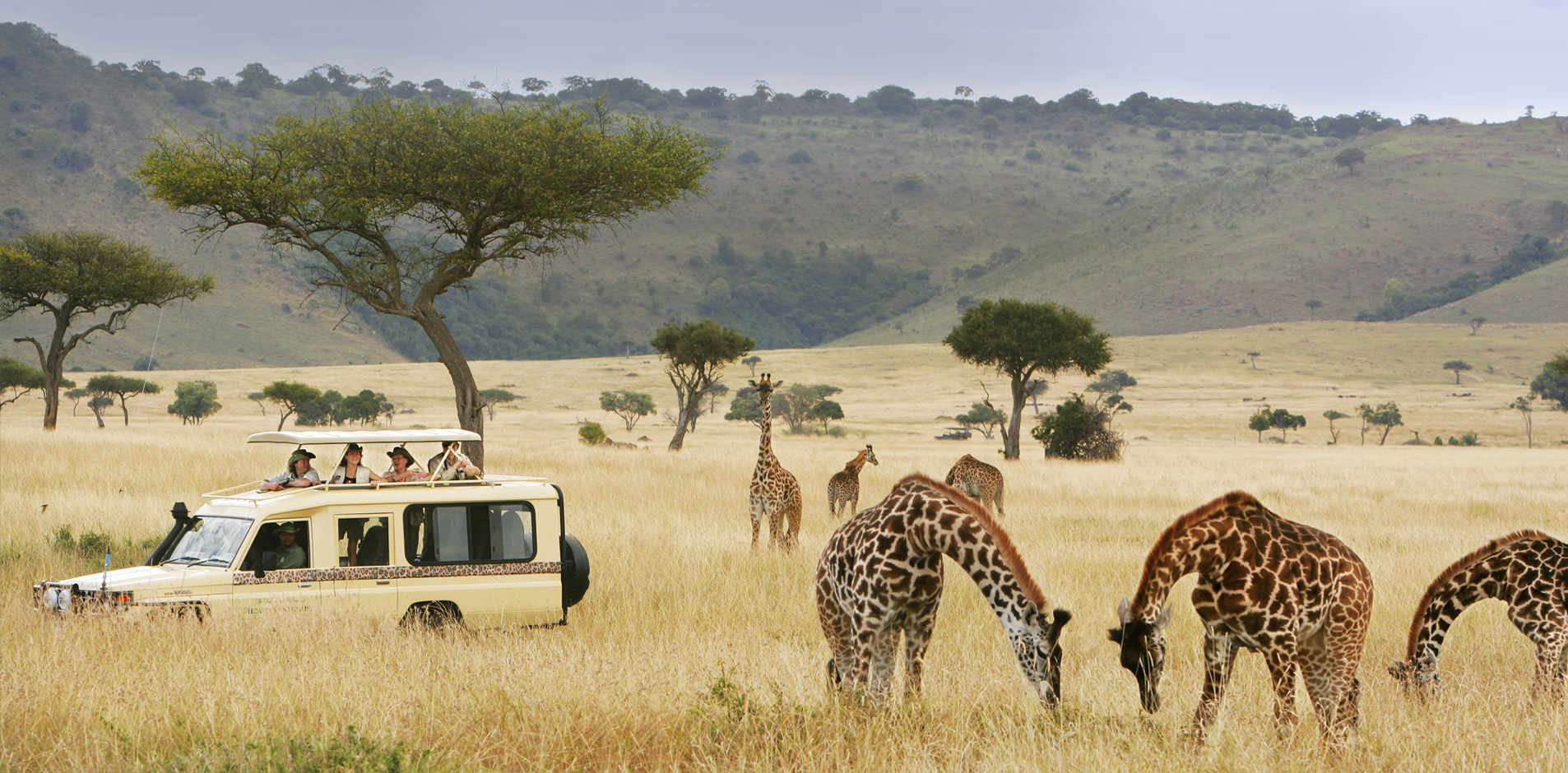 5 Days Lodge Safari