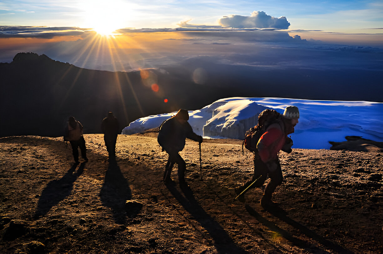 6 Day Rongai Route Kilimanjaro Expedition 95 % Summit Success