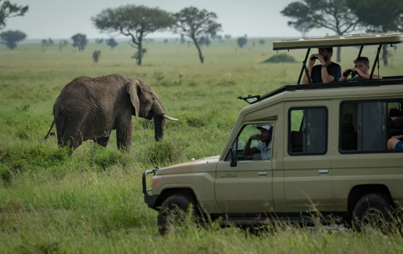 Tanzania 7 Days Safari