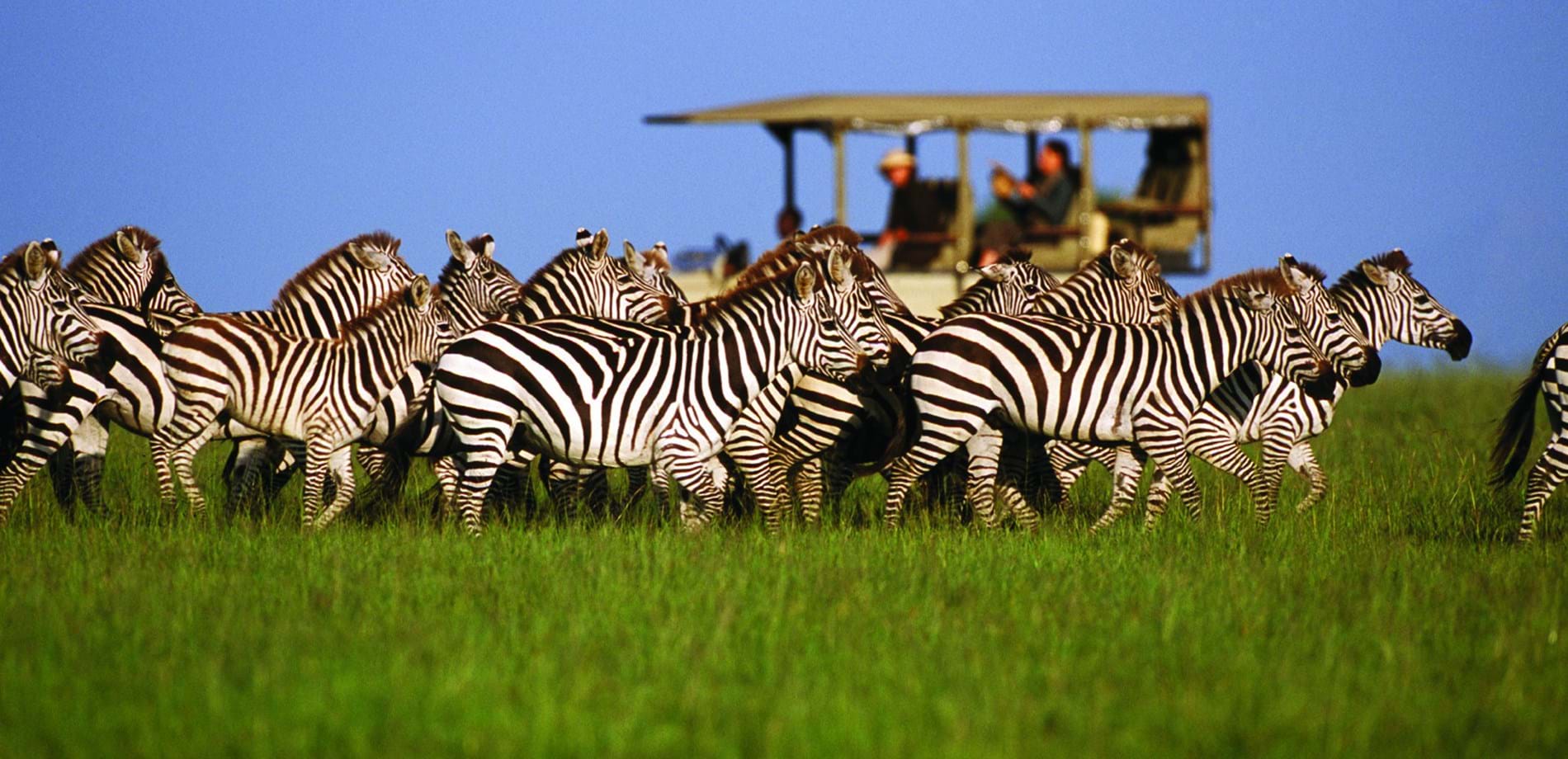 Ways African Safari Tanzania 7 Days