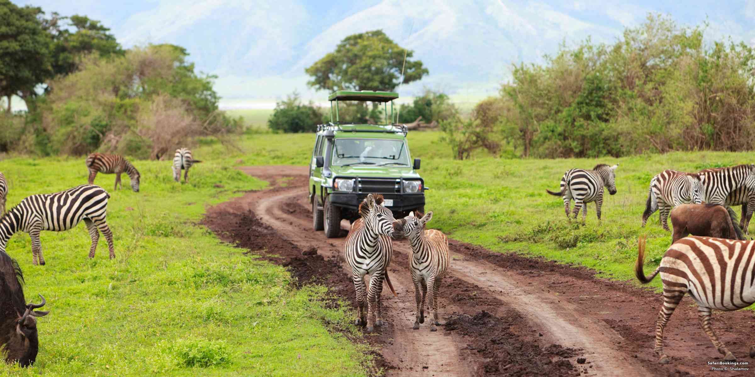 safari to tanzania 14 days