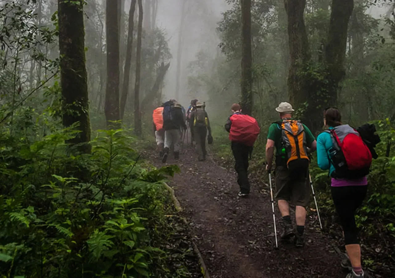 Kilimanjaro Day hike Marangu Route Mandara Huts