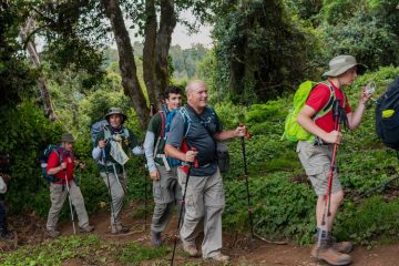 Trekking Marangu Route Day Tour Tanzania Tanzania Hiking