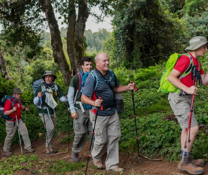 Trekking Marangu Route Day Tour Tanzania Tanzania Hiking