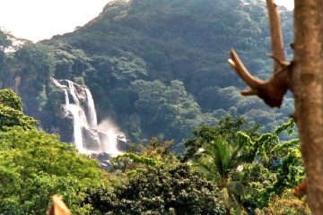 3 Days 2 Nights Udzungwa Mountains National Park Tanzania Hiking