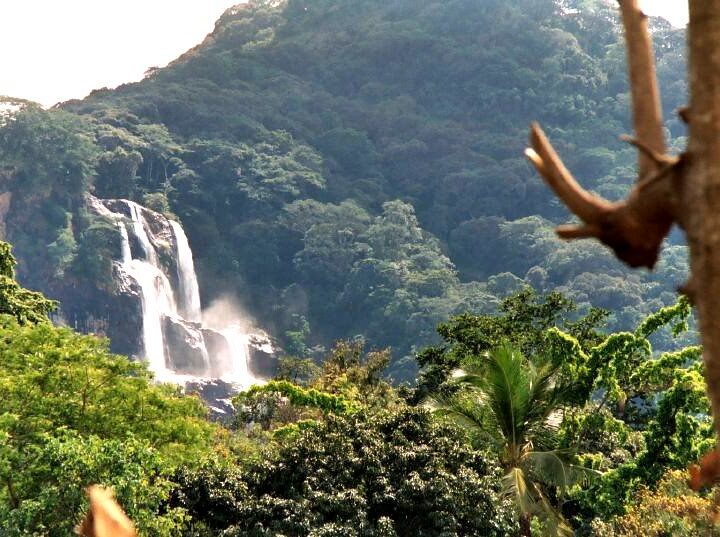 3 Days 2 Nights Udzungwa Mountains National Park Tanzania Hiking