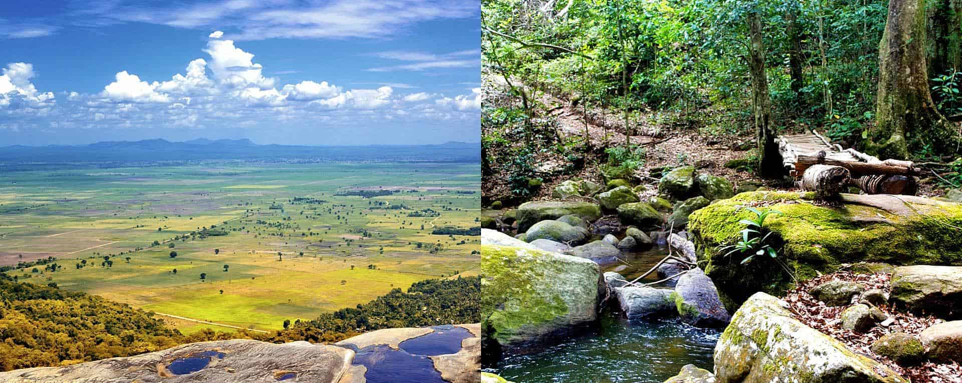 3 Days 2 Nights Udzungwa Mountains National Park