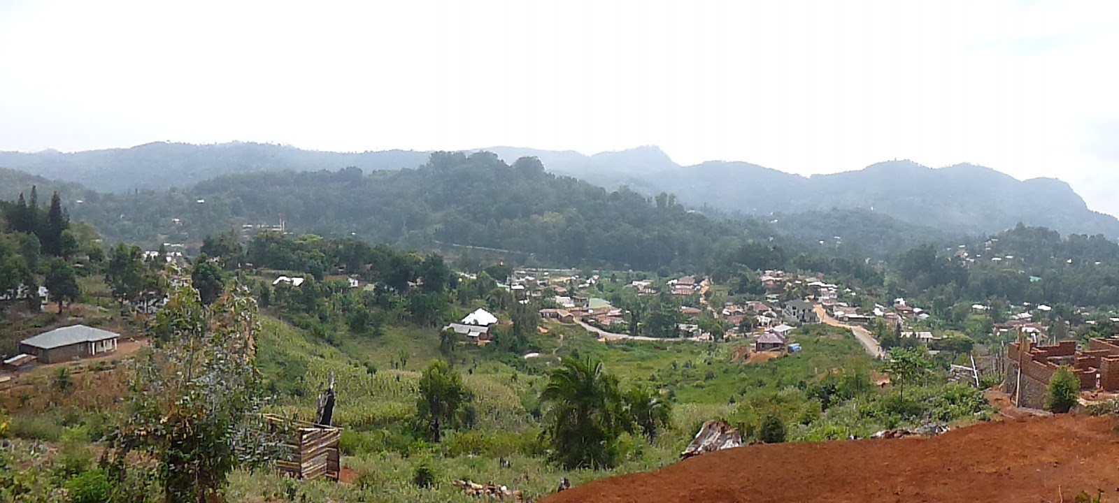 6 Days 5 Night Hike to Mtae Usambara Mountains