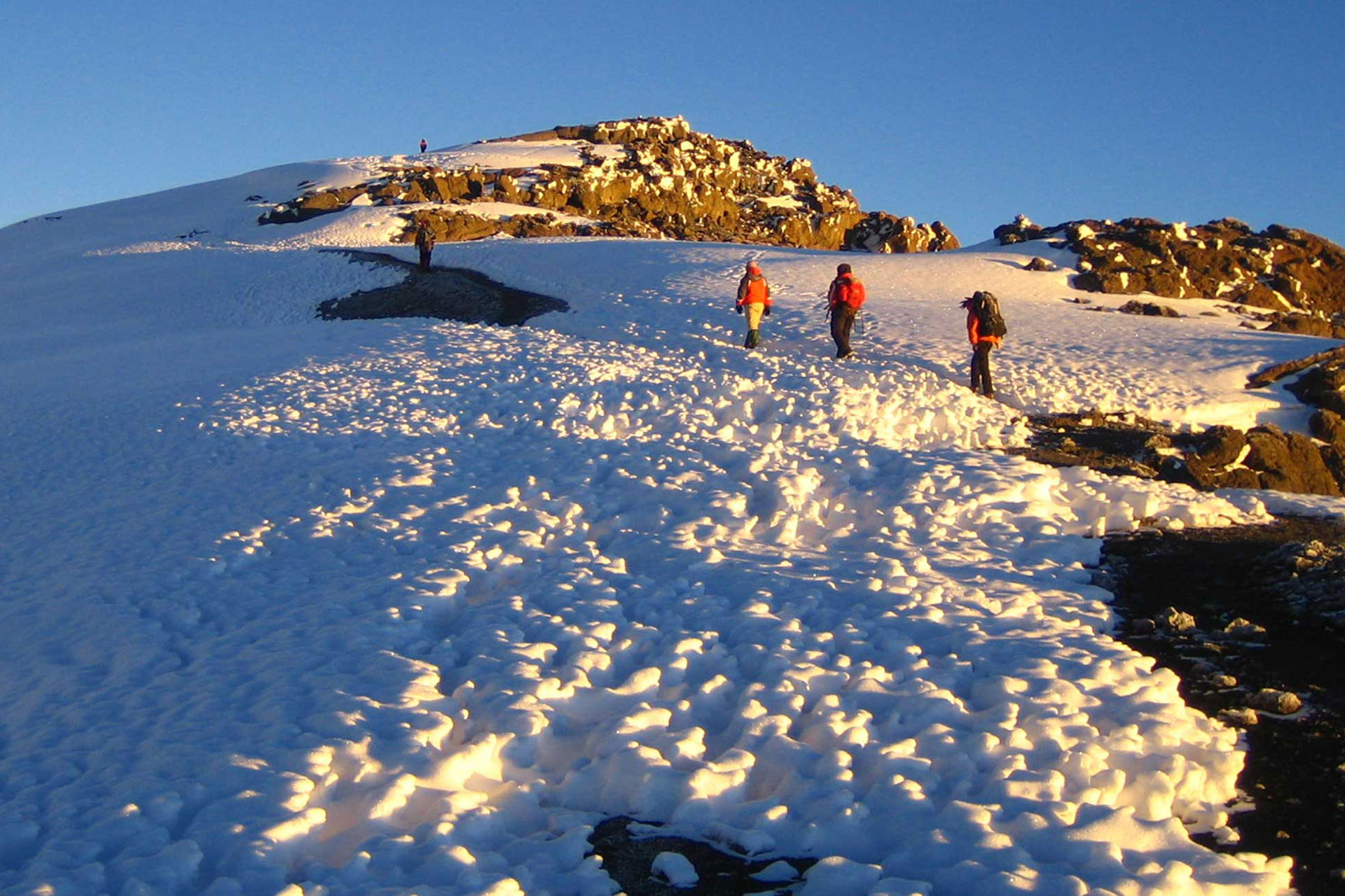 8 Days Lemosho Route via Northern Circuit Ways African Safaris