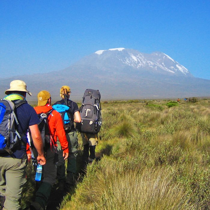 Mount-Kilimanjaro-view---trekking-with-Tanzania-hikes