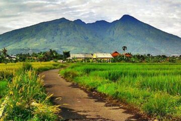 3 Days Trip to Uluguru Mountains & Choma Waterfalls