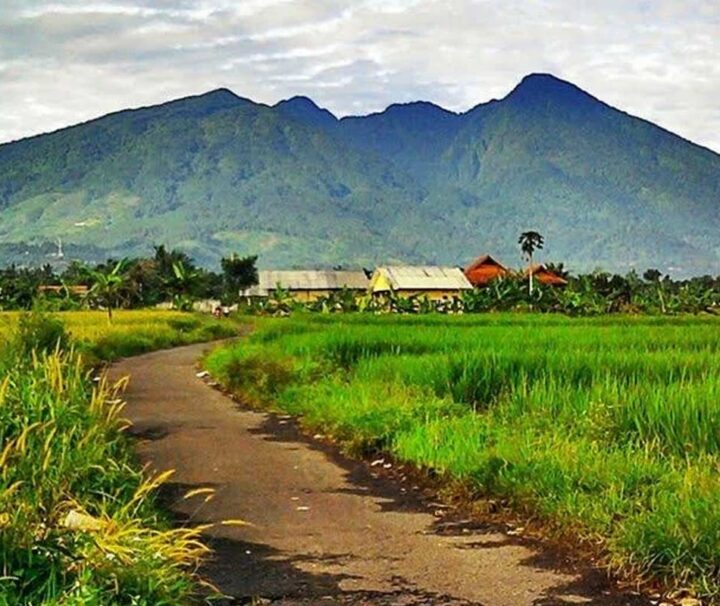 3 Days Trip to Uluguru Mountains & Choma Waterfalls