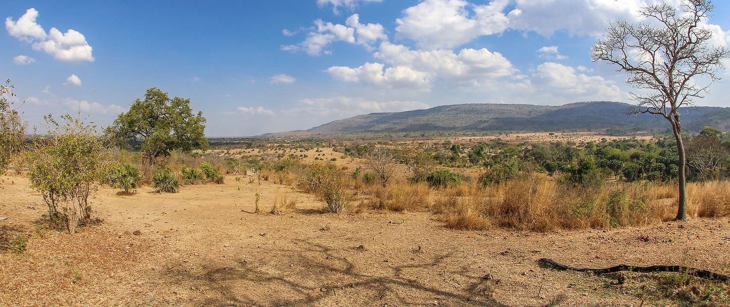 Best Trails in Arusha monduli mountains