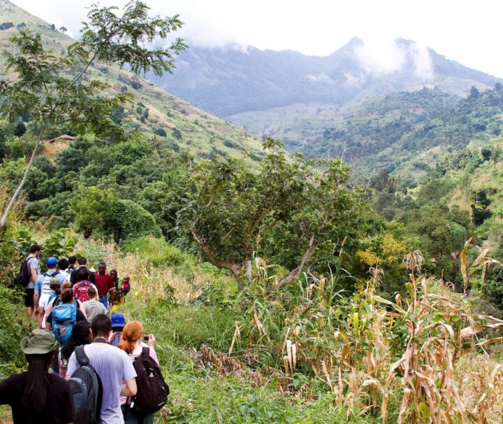 Day Trip Hiking to Uluguru Mountains & Choma Waterfalls Tanzania Hiking