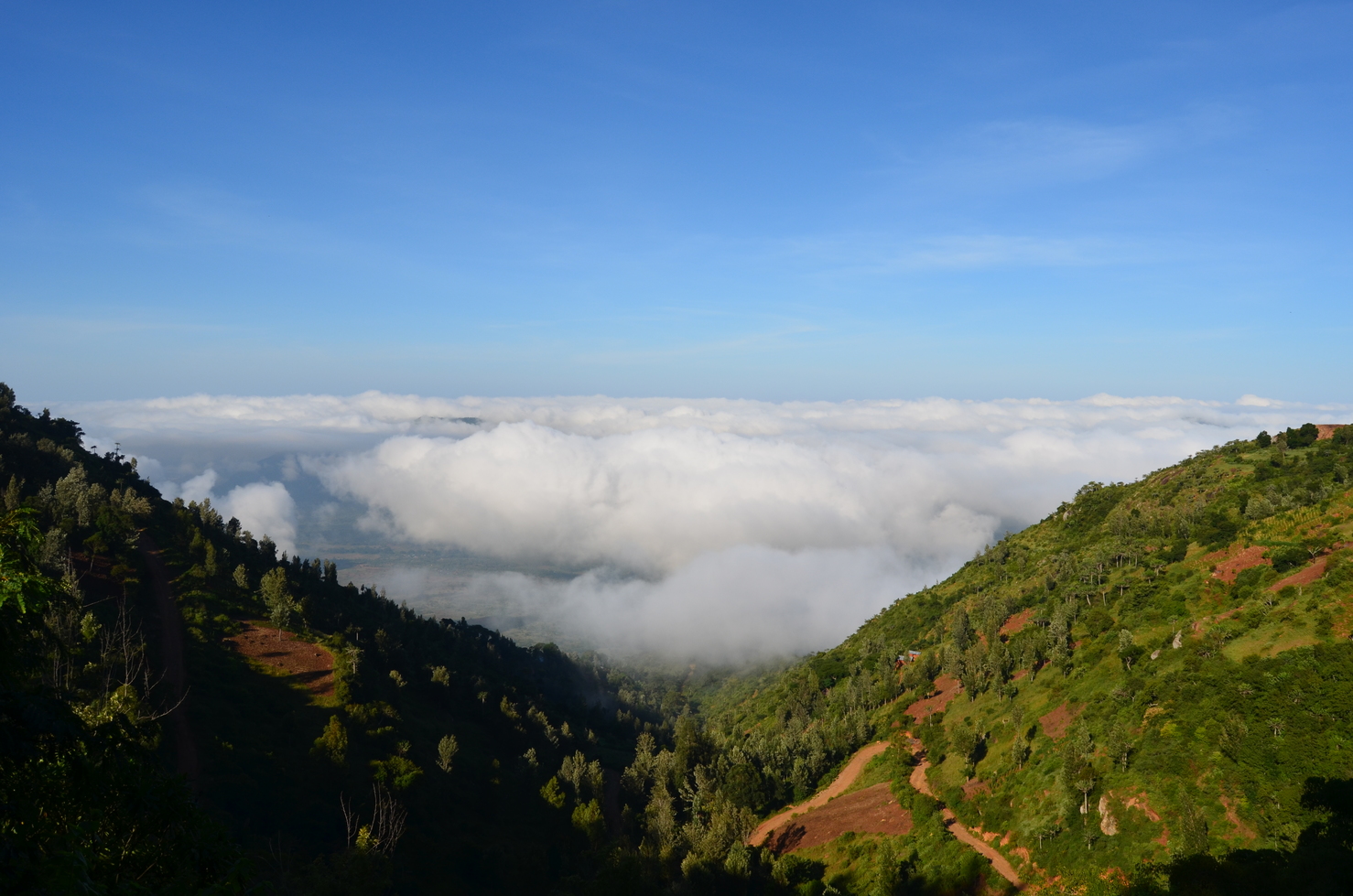 Day Trip to South Pare Mountains