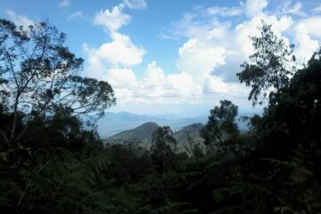Day Trip to South Pare Mountains Tanzania Hiking