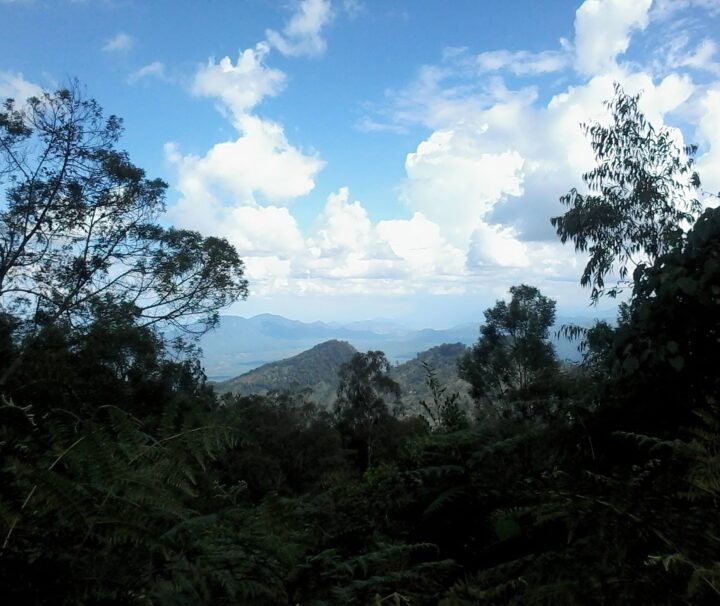 Day Trip to South Pare Mountains Tanzania Hiking