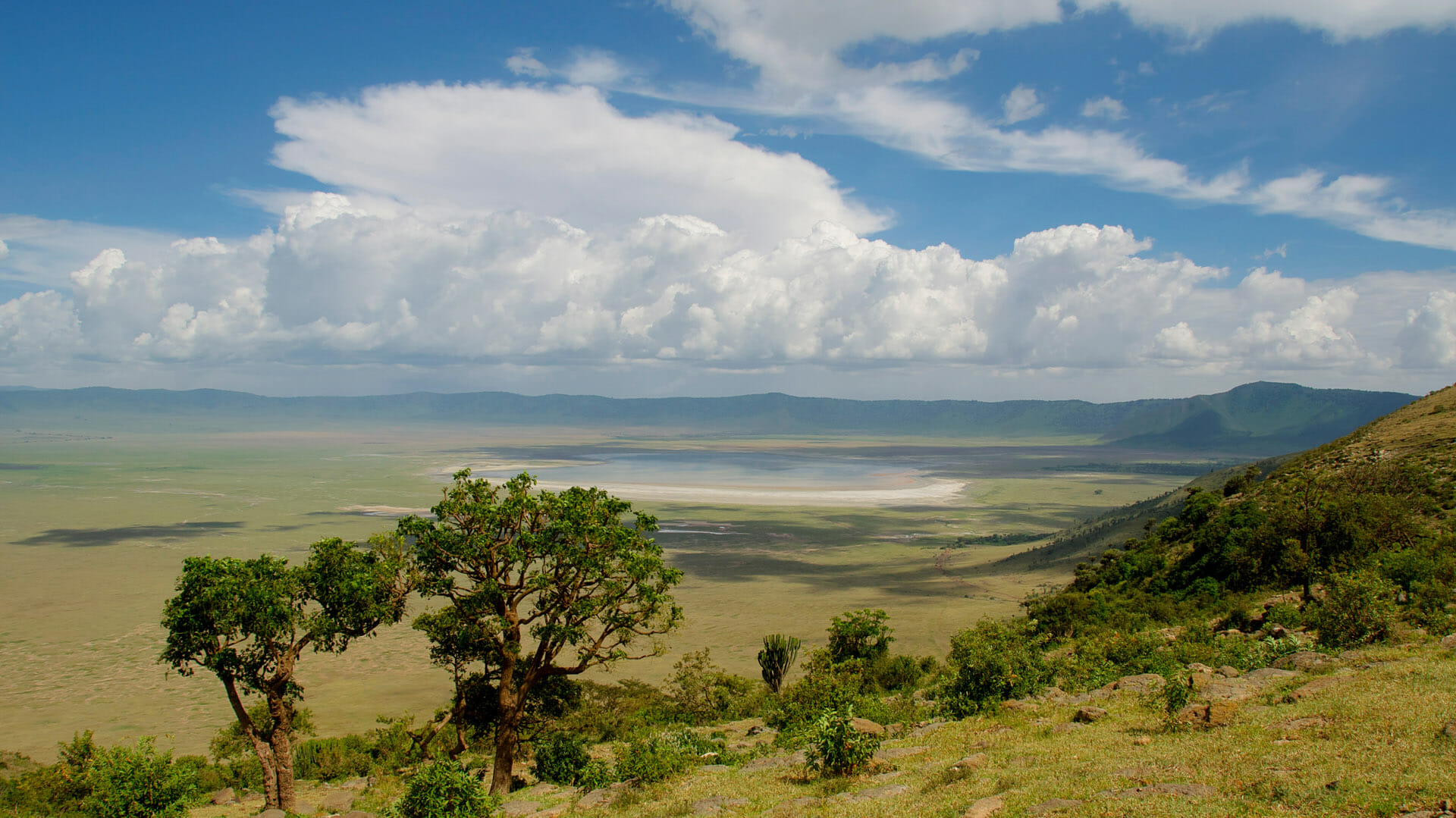 Ngorongoro Crater Highlands