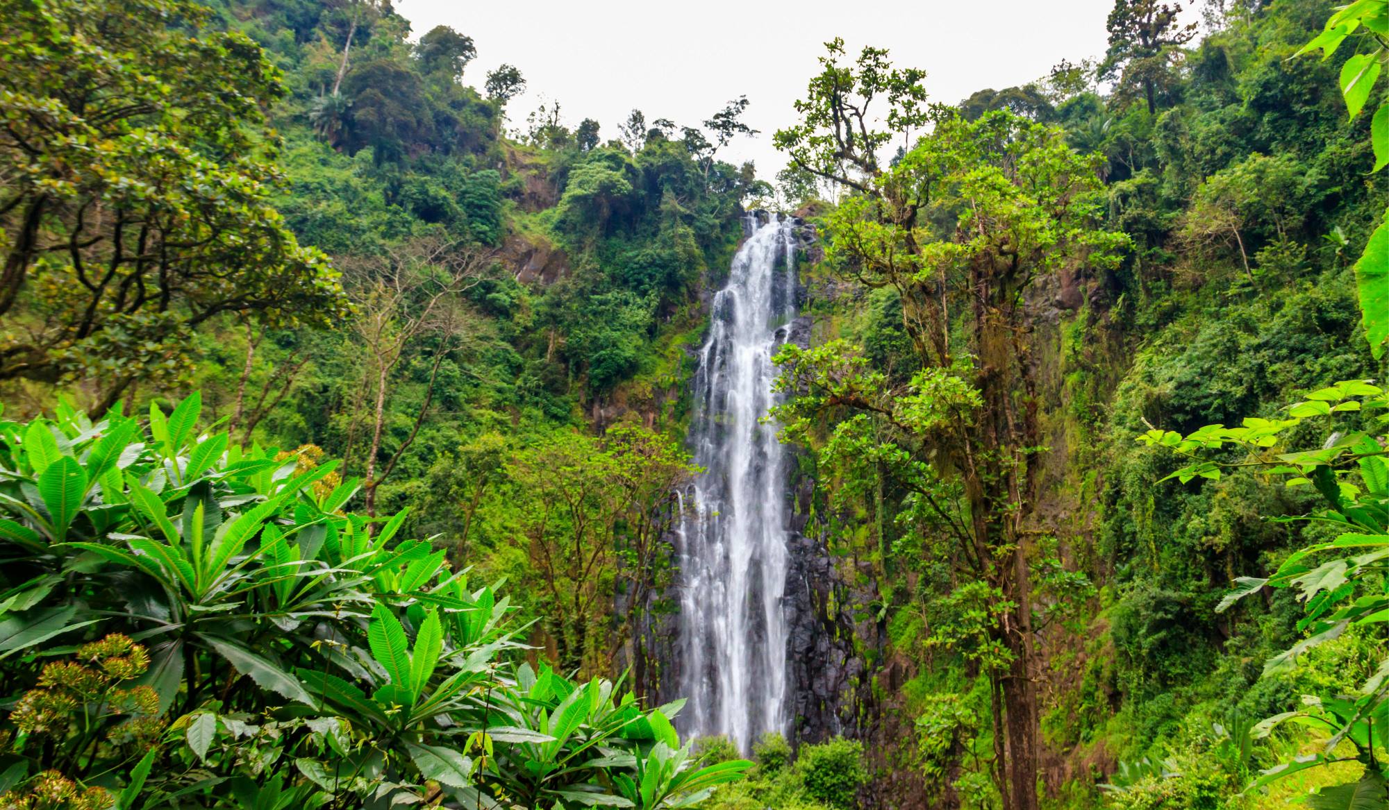 Materuni Waterfall Moshi Kilimanjaro