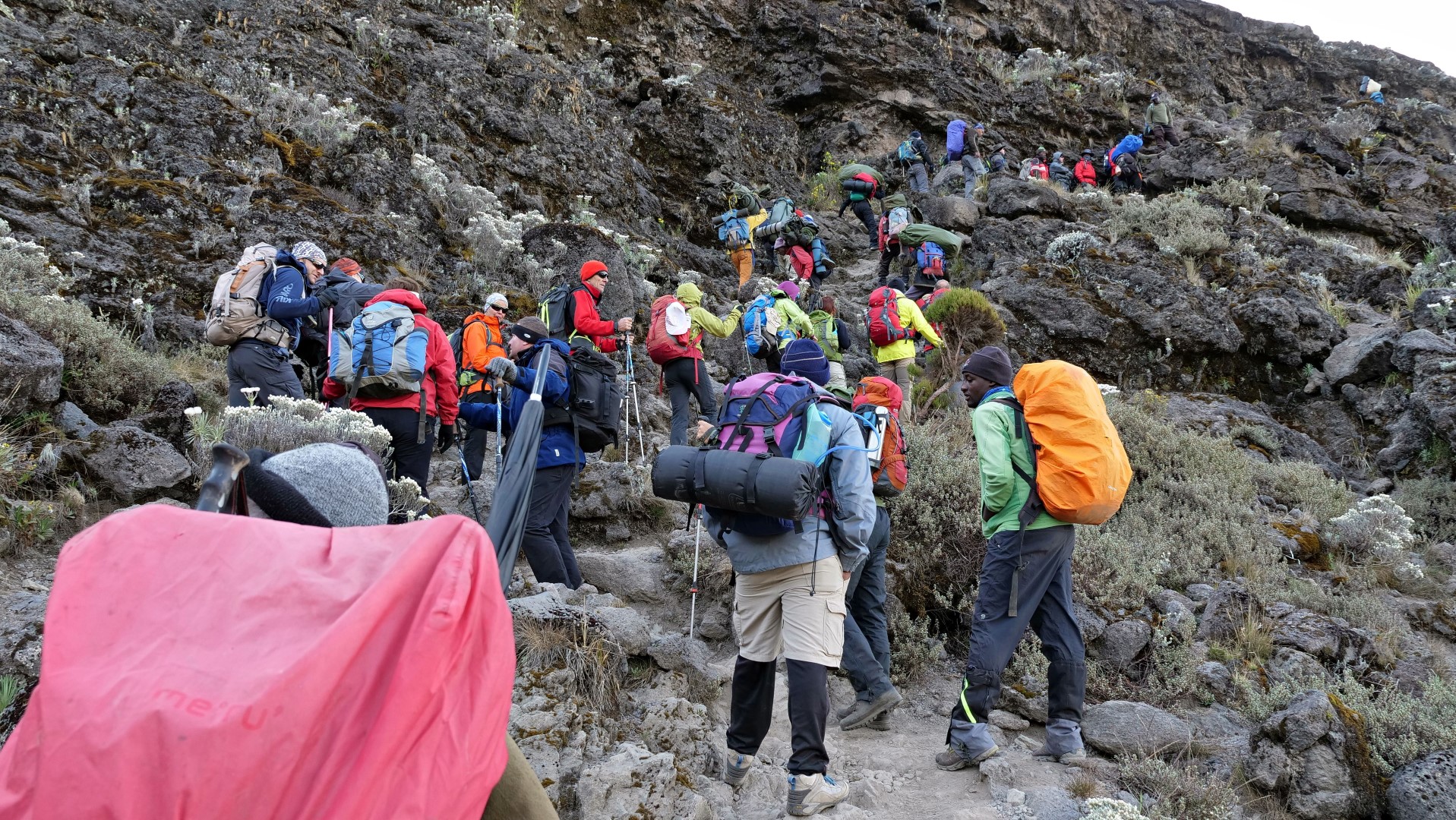 Mount Kilimanjaro Umbwe Route