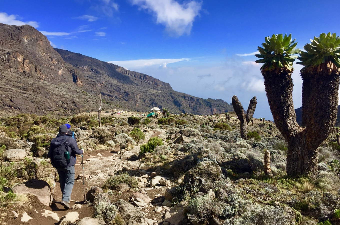 Mount Kilimanjaro via Lemosho Route