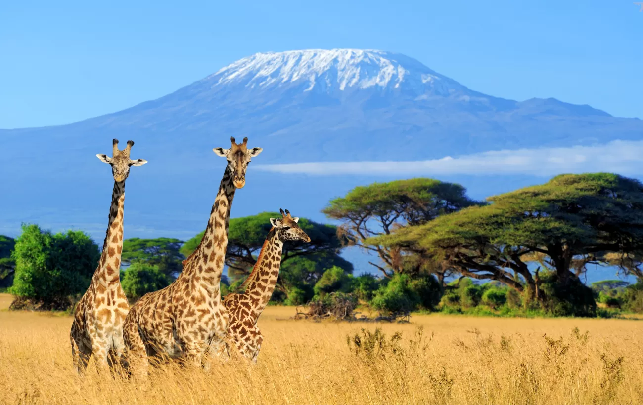 Tanzania Tanzania Hiking