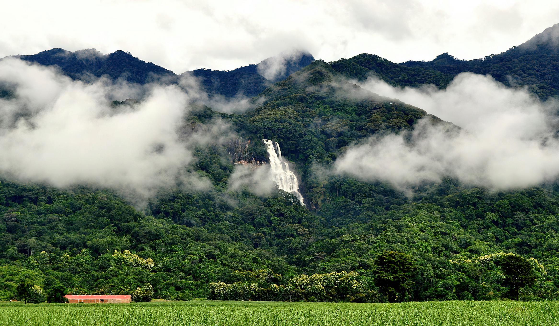 Udzungwa Mountains Tanzania