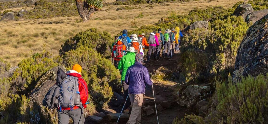14 Best Hikes in Tanzania The Ultimate Tanzania Hiking Guide