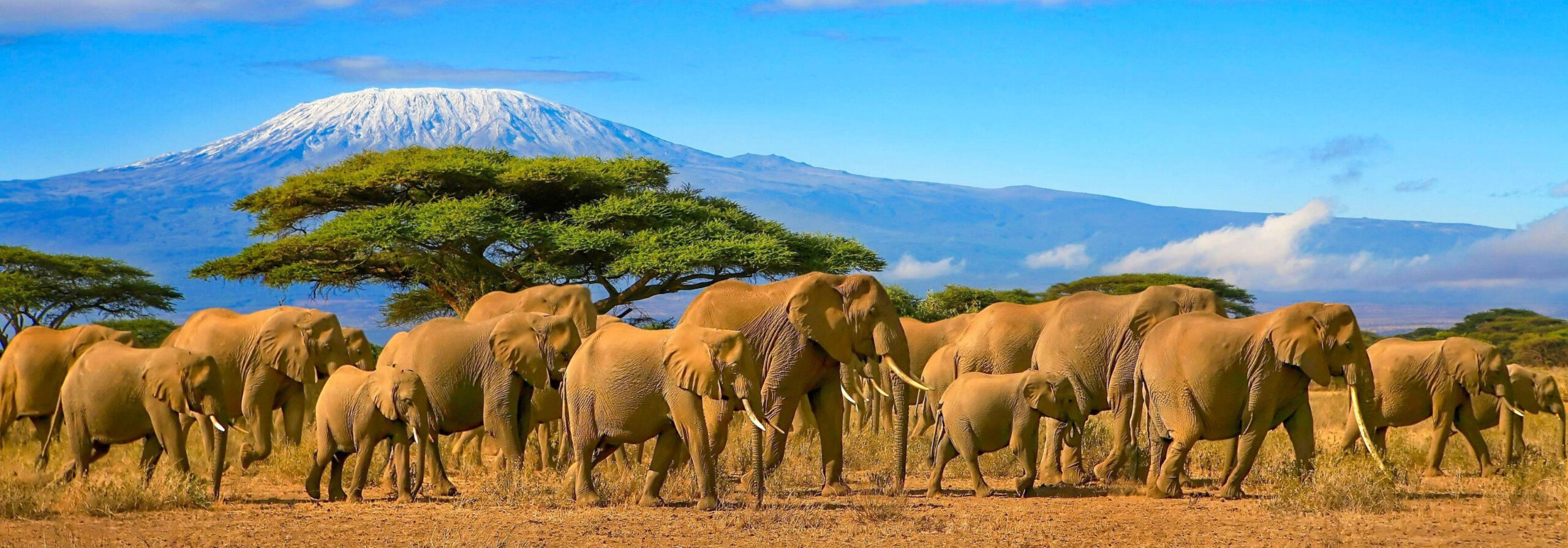 14 Best Hikes in Tanzania The Ultimate Tanzania Hiking Guide Africa