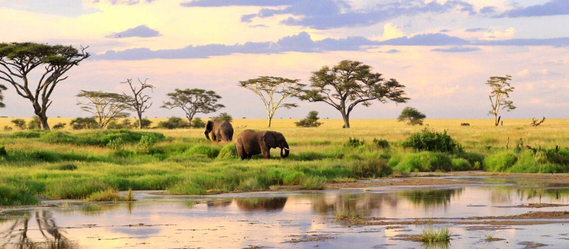 Top Hiking Destinations in Tanzania