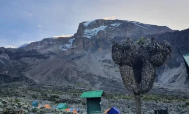6 Days Kilimanjaro Lemosho Route