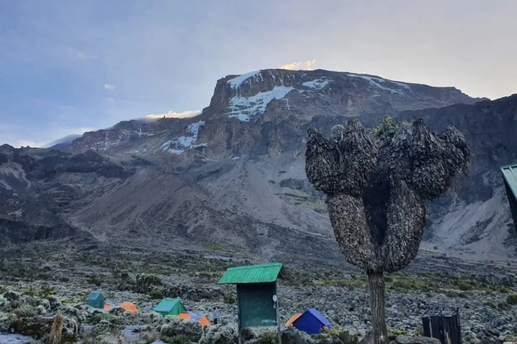 6 Days Kilimanjaro Lemosho Route