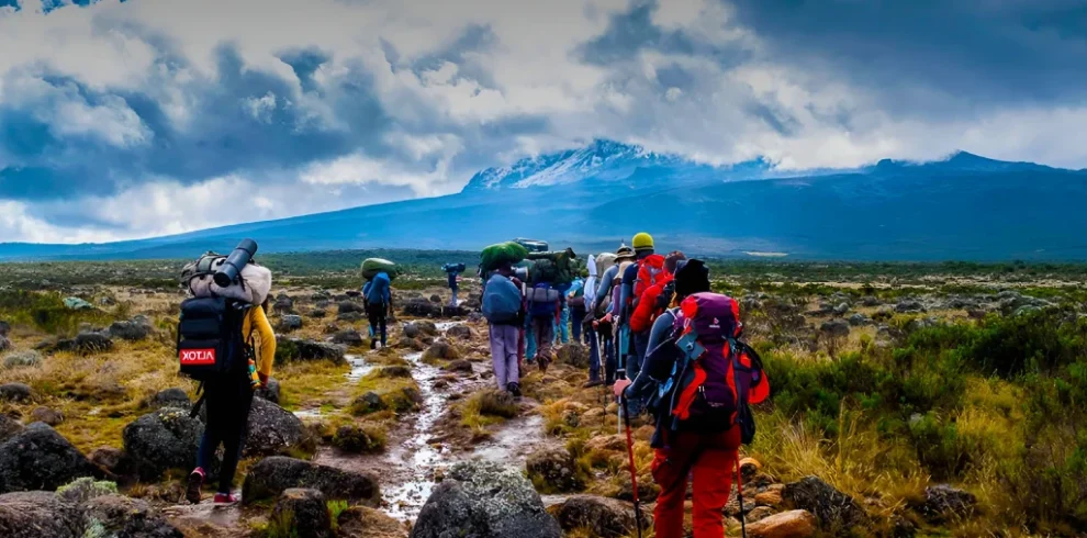 7 Days Kilimanjaro Climb Shira