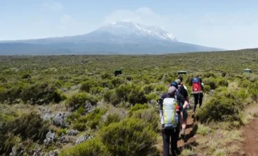 7 Days Lemosho Route Trek