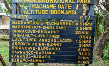 8 Days Kilimanjaro Machame Route
