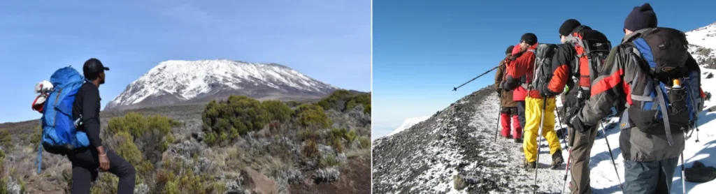8 Days Lemosho Route Kilimanjaro Climb