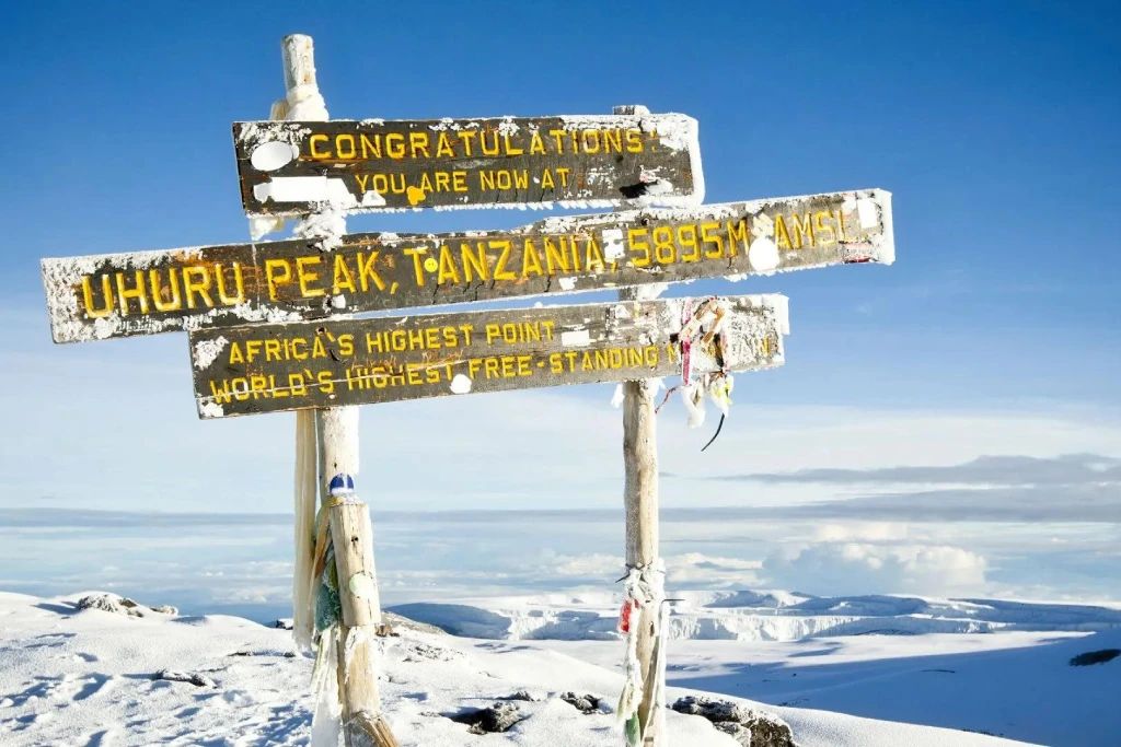 8 Days Lemosho Route Trek