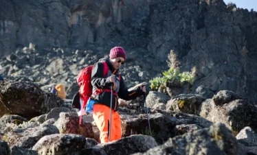 8 Days Northern Cricut