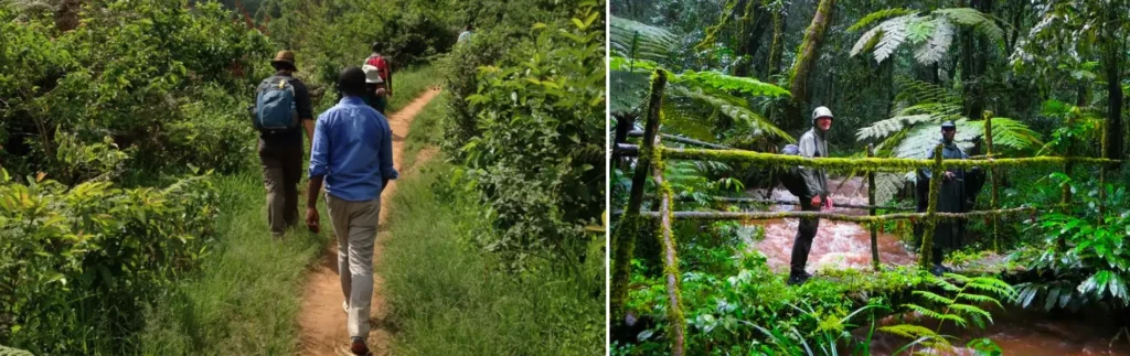 1 Day Udzungwa Mountains Sanje Waterfalls