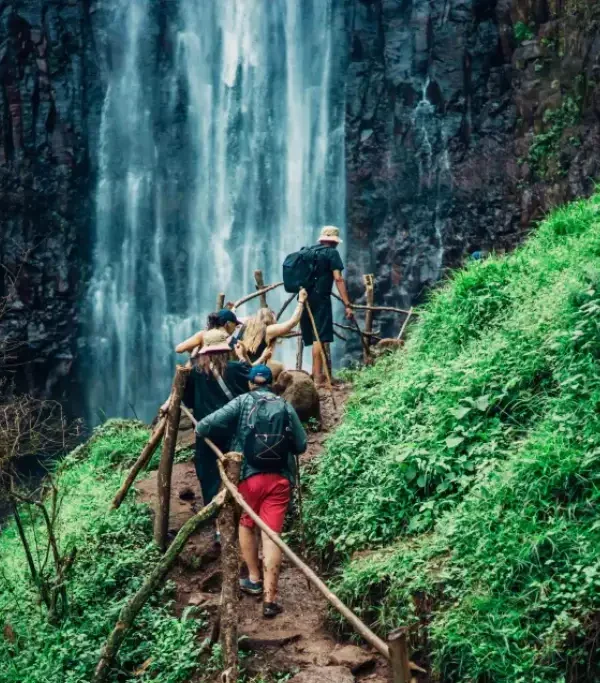 1 Day Udzungwa Sanje Waterfalls hiking