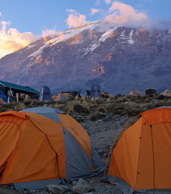 6 Days Kilimanjaro Umbwe