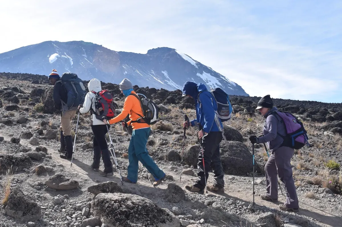 8 days Lemosho route itinerary