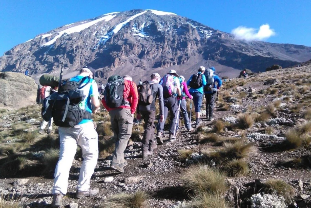 Trek Kilimanjaro via Lemosho Route