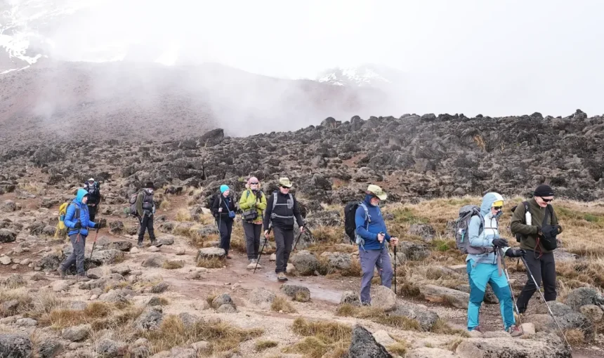 Best acclimatization itinerary for Kilimanjaro