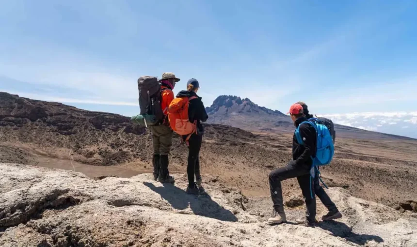 Best time to climb Mount Kilimanjaro
