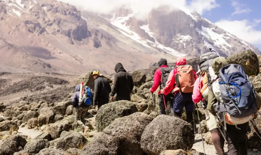 Dry season vs wet season Kilimanjaro