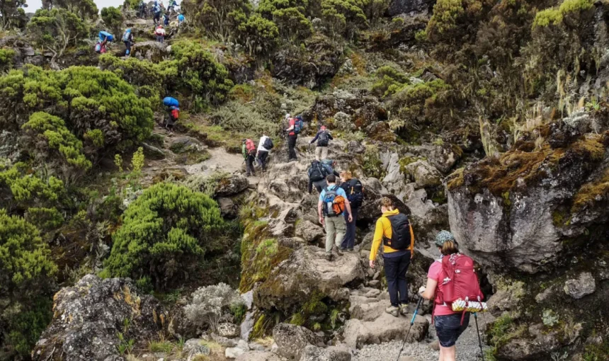 How many days to climb Mount Kilimanjaro