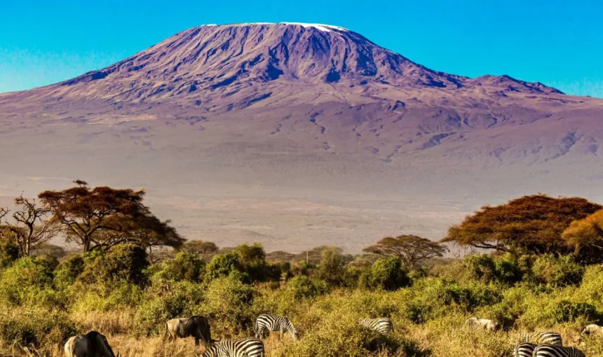How to get to Mount Kilimanjaro